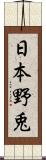 日本野兎 Scroll