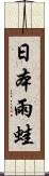 日本雨蛙 Scroll