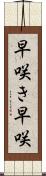 早咲き Scroll