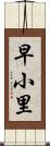 早小里 Scroll