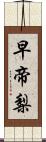 早帝梨 Scroll
