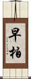 早柏 Scroll