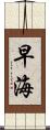 早海 Scroll