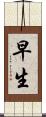 早生 Scroll