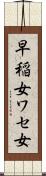 早稲女 Scroll