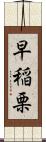 早稲栗 Scroll