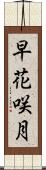 早花咲月 Scroll