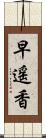 早遥香 Scroll