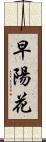 早陽花 Scroll