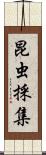 昆虫採集 Scroll