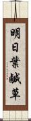 明日葉 Scroll