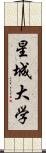 星城大学 Scroll