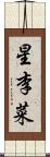 星李菜 Scroll