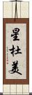 星杜美 Scroll