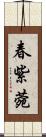 春紫菀 Scroll