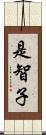 是智子 Scroll