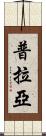 普拉亞 Scroll
