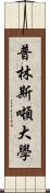 普林斯噸大學 Scroll