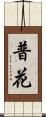 普花 Scroll