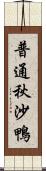 普通秋沙鴨 Scroll