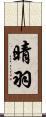 晴羽 Scroll
