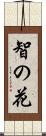 智の花 Scroll