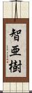 智亜樹 Scroll