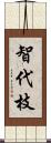 智代枝 Scroll