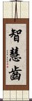 智慧齒 Scroll