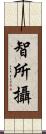 智所攝 Scroll
