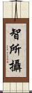 智所攝 Scroll