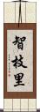 智枝里 Scroll