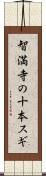 智満寺の十本スギ Scroll