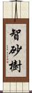 智砂樹 Scroll