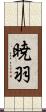 暁羽 Scroll