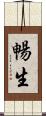暢生 Scroll
