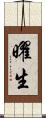 曜生 Scroll