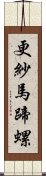 更紗馬蹄螺 Scroll