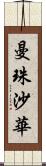 曼珠沙華 Scroll