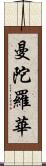 曼陀羅華 Scroll