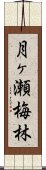 月ヶ瀬梅林 Scroll