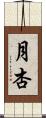 月杏 Scroll