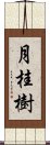 月桂樹 Scroll