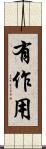 有作用 Scroll