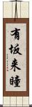 有坂来瞳 Scroll