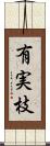 有実枝 Scroll
