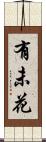 有未花 Scroll