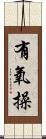 有氧操 Scroll