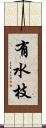 有水枝 Scroll