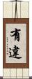 有違 Scroll